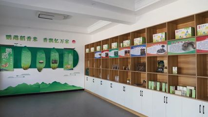 建好用活黨群服務站，殷店鎮鸚鵡村打造家門口的“教育咨詢港灣”